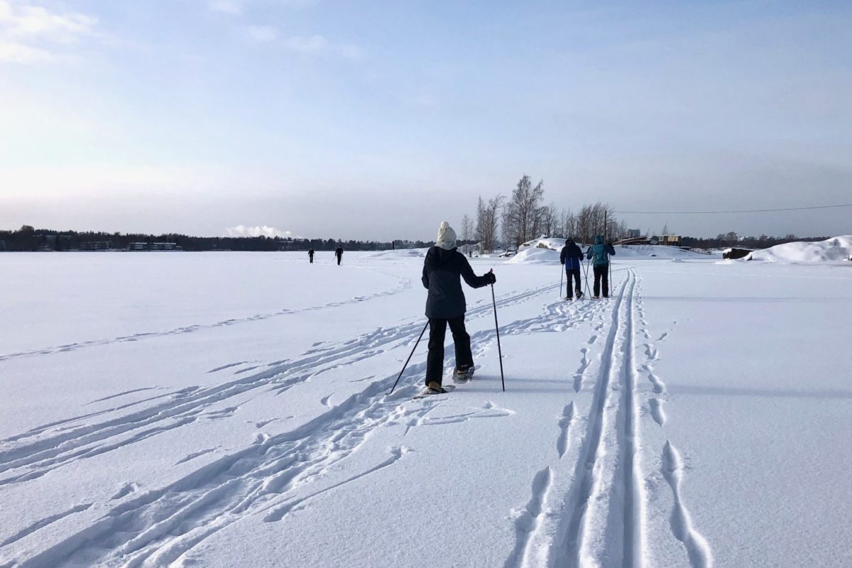 Jeudi 11 février : Promenade sur la mer gelée 🗓